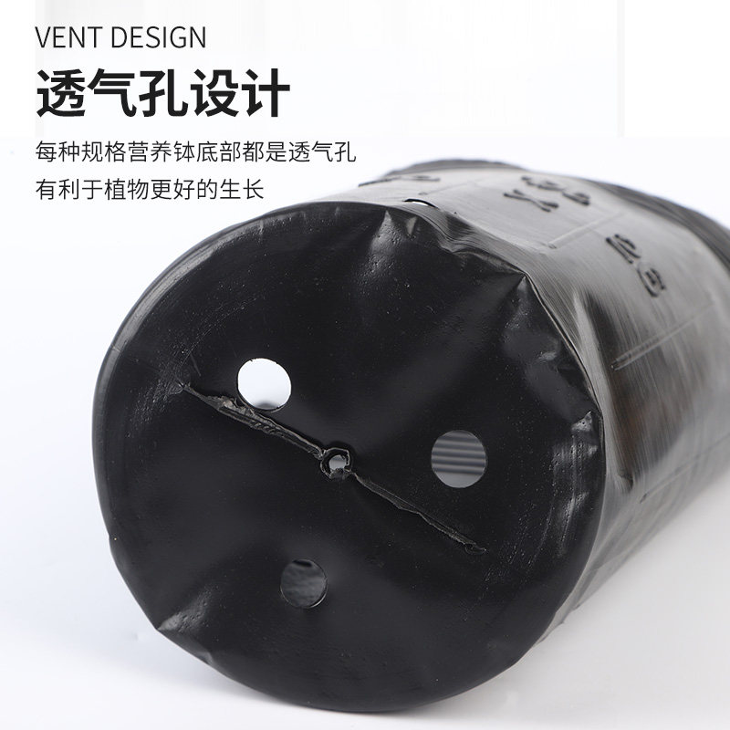 营养钵育苗盆营养杯育苗杯塑料育苗盘一次性加厚黑色营养袋育苗袋