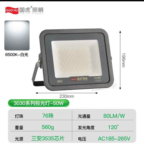 国虎3030LED投光灯磨砂玻璃防眩目球场灯仓库户外照明射灯泛光灯