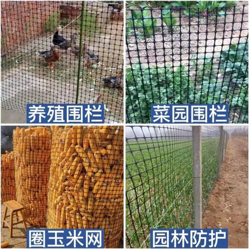 塑料网格防护养殖菜园栅栏户外拦鸡网子圈玉米漏粪脚垫养鸡围栏网