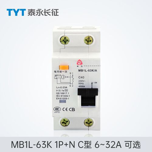 TYT泰永长征长九MB1L-63K空调漏电保护开关家用漏电保护器断路器