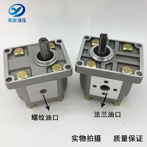 齿轮泵 CBN-F306 CBN-F310 CBN-F316 CBN-F320 CBN-F325 CBN-F304