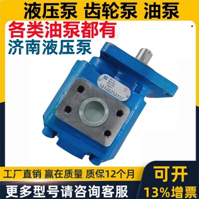 济南液压齿轮油泵CBGJ CBH JHP-G 2100 2150 2080 2163 3140工程