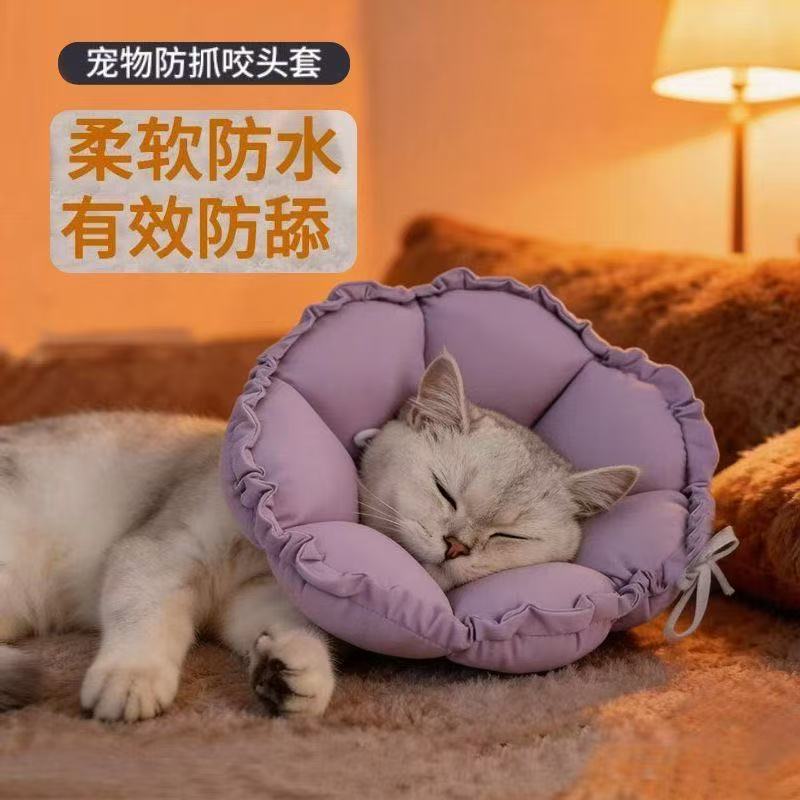 伊丽莎白圈猫项圈幼猫防舔防咬防水脖圈猫咪绝育小型犬保护软头套