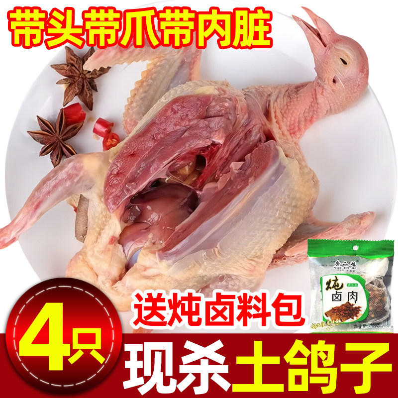 大号农家散养鲜乳鸽滋补炖汤