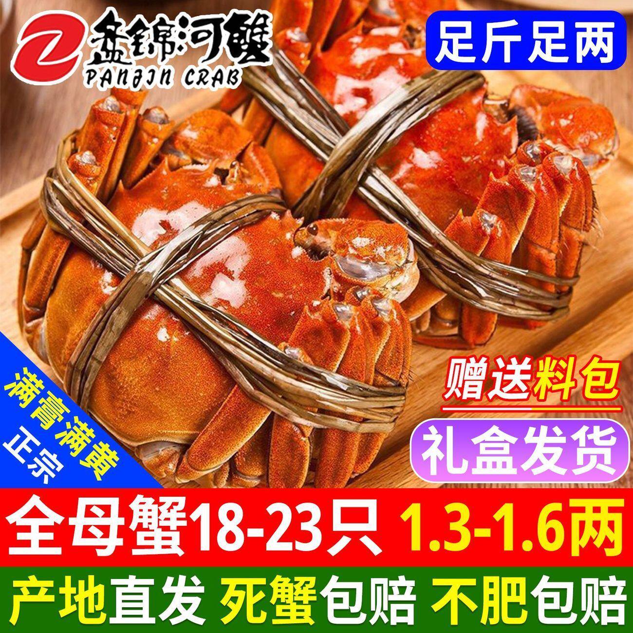 正宗盘锦鲜活大闸蟹12只