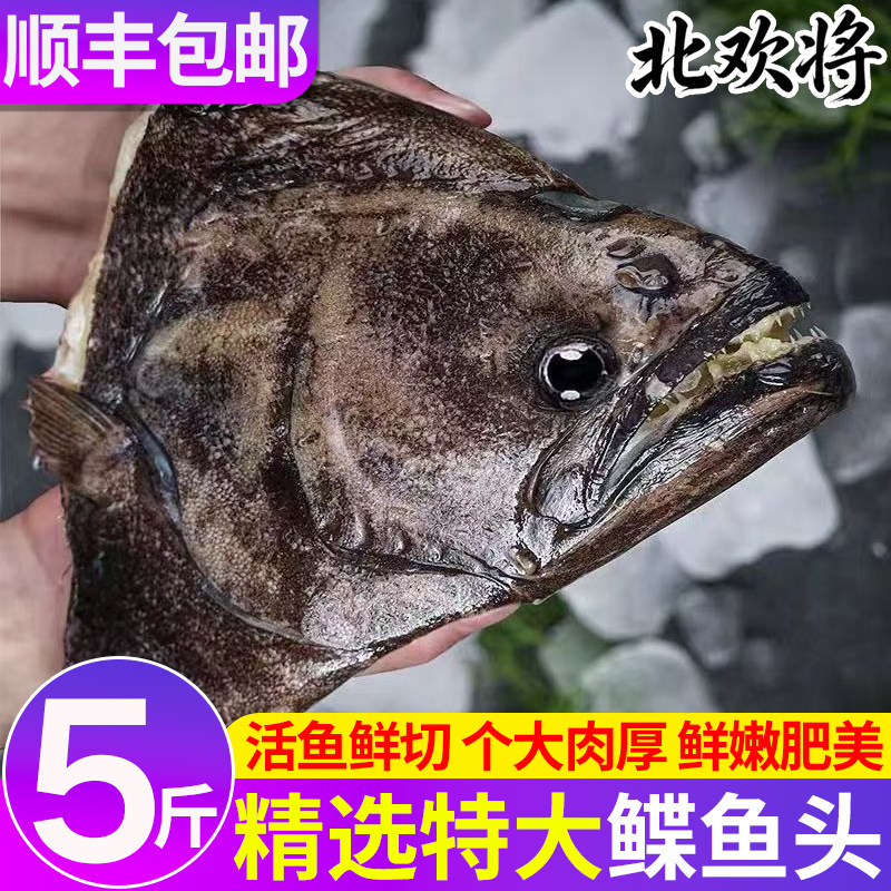 深海鲽鱼头格陵兰比目鱼头