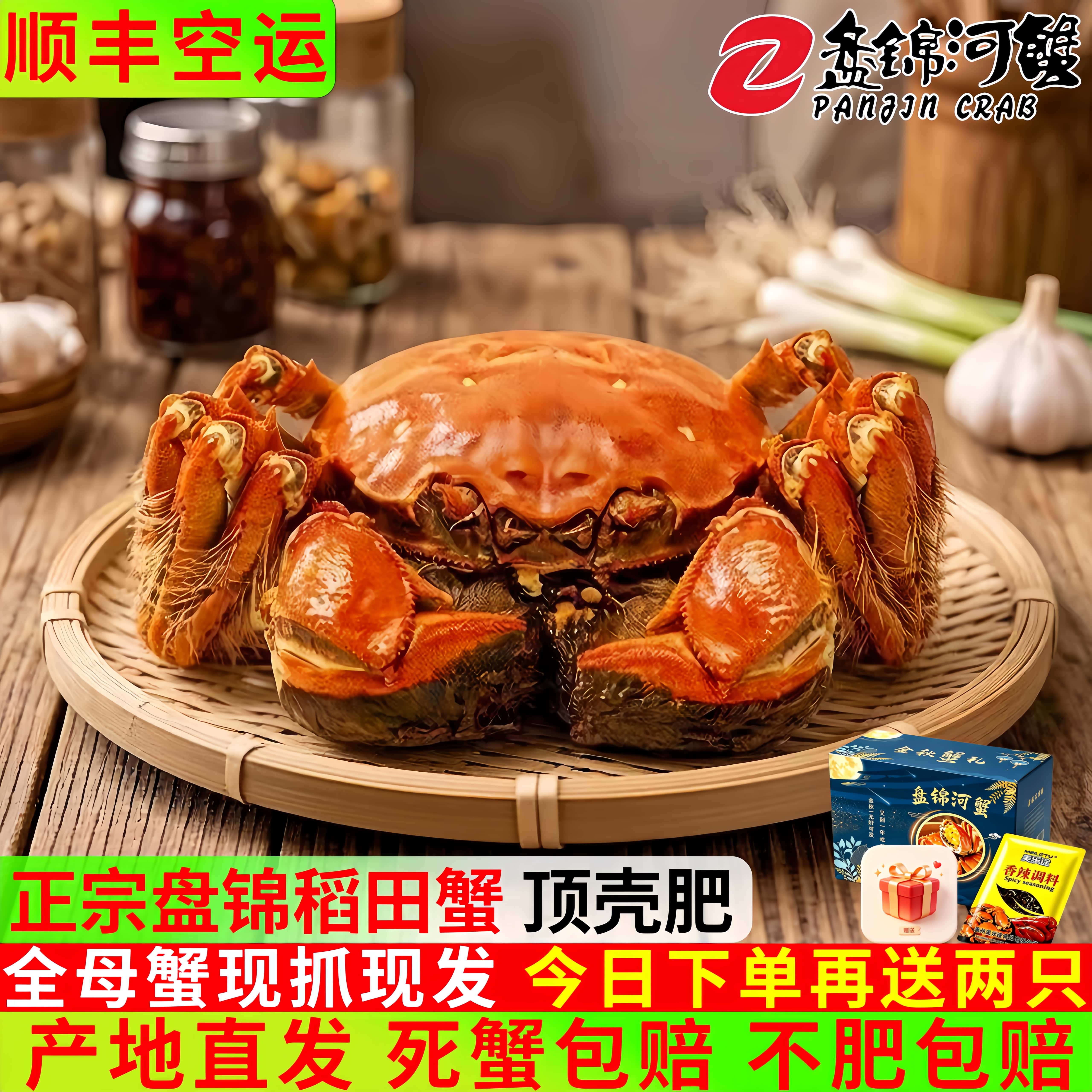 盘锦鲜活全母稻田蟹顺丰空运