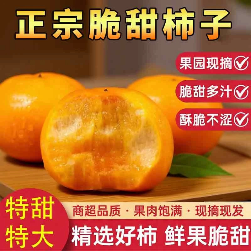【限时立减50】正宗巧克力脆甜柿子大果当季鲜果冰糖心