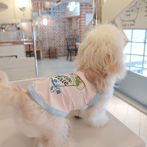 PetiteTale夏季中小型狗防晒衣服