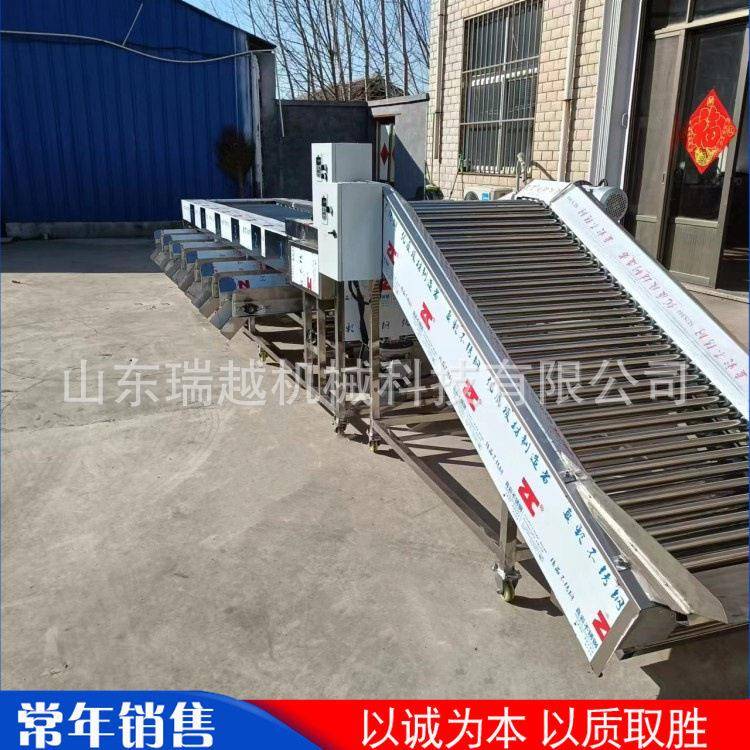 柠檬橙子分级筛选机工业马蹄滚杠式筛选机商用百香果芒果选果机