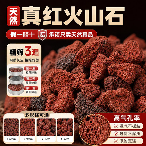 红火山石鱼缸造景高气孔2-5cm
