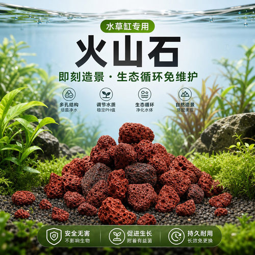新手生态水草缸火山石颗粒造景
