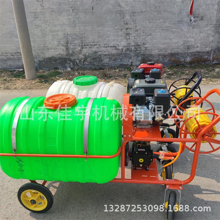 12V手推式电动压打机 小区绿化除虫喷雾器160L果树喷车