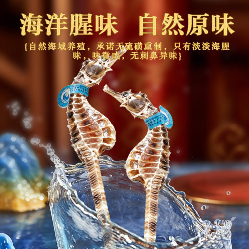 京海珍海马干制品海洋腥味自然原味无添加天然晾晒公母配对滋补品