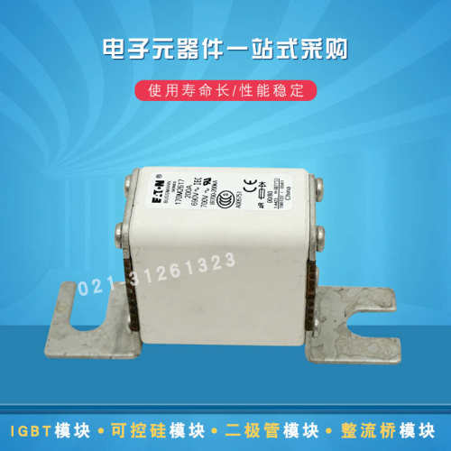 巴斯曼快速熔断器保险丝170M2615 2616 2617 2618 2619 2620 2621