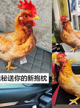3D仿真母鸡抱枕闺蜜送你的新抱枕