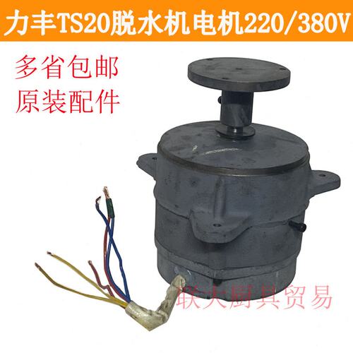 力丰TS20 TS15 TS15A食物脱水机甩干机原厂配件铜线电机马达 一套