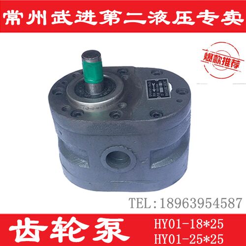 HY01-18*25 8X15 25*25 12X20 3*5X10机磨床70 100X25齿轮油泵CBJ