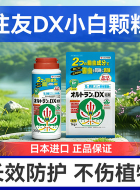 日本住友dx小白颗粒原装进口养花多肉根粉蚧介壳虫专用内吸型