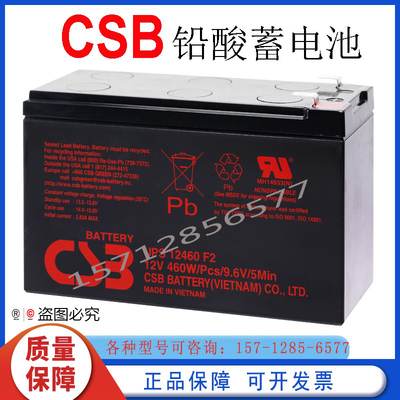 CSB电梯门禁全新蓄电池包邮