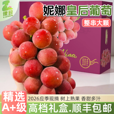 大凉山妮娜皇后无籽鲜提礼盒