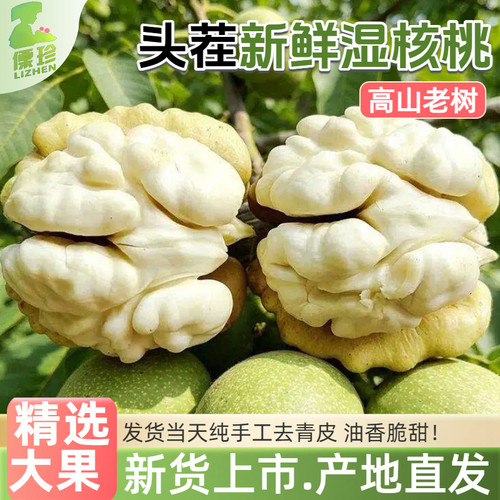 2026大凉山现摘去青皮湿核桃