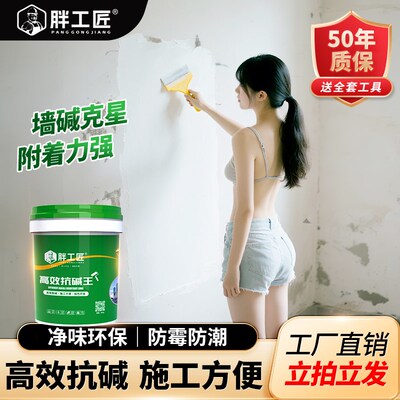 胖工匠水泥墙面返碱处理抗碱克星封闭底漆墙体反碱防潮防霉消碱剂