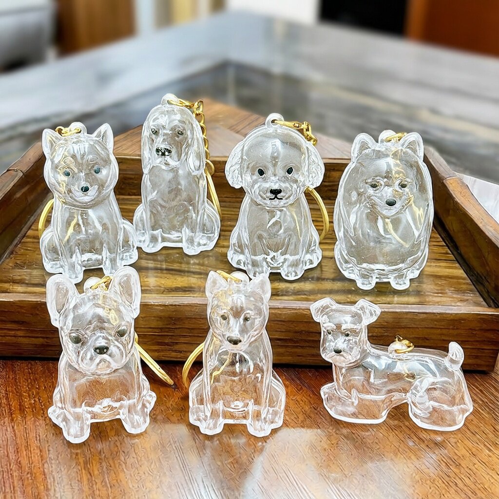 大号透明宠物毛发收纳挂件博美泰迪纪念钥匙扣狗狗毛发收集盒挂饰