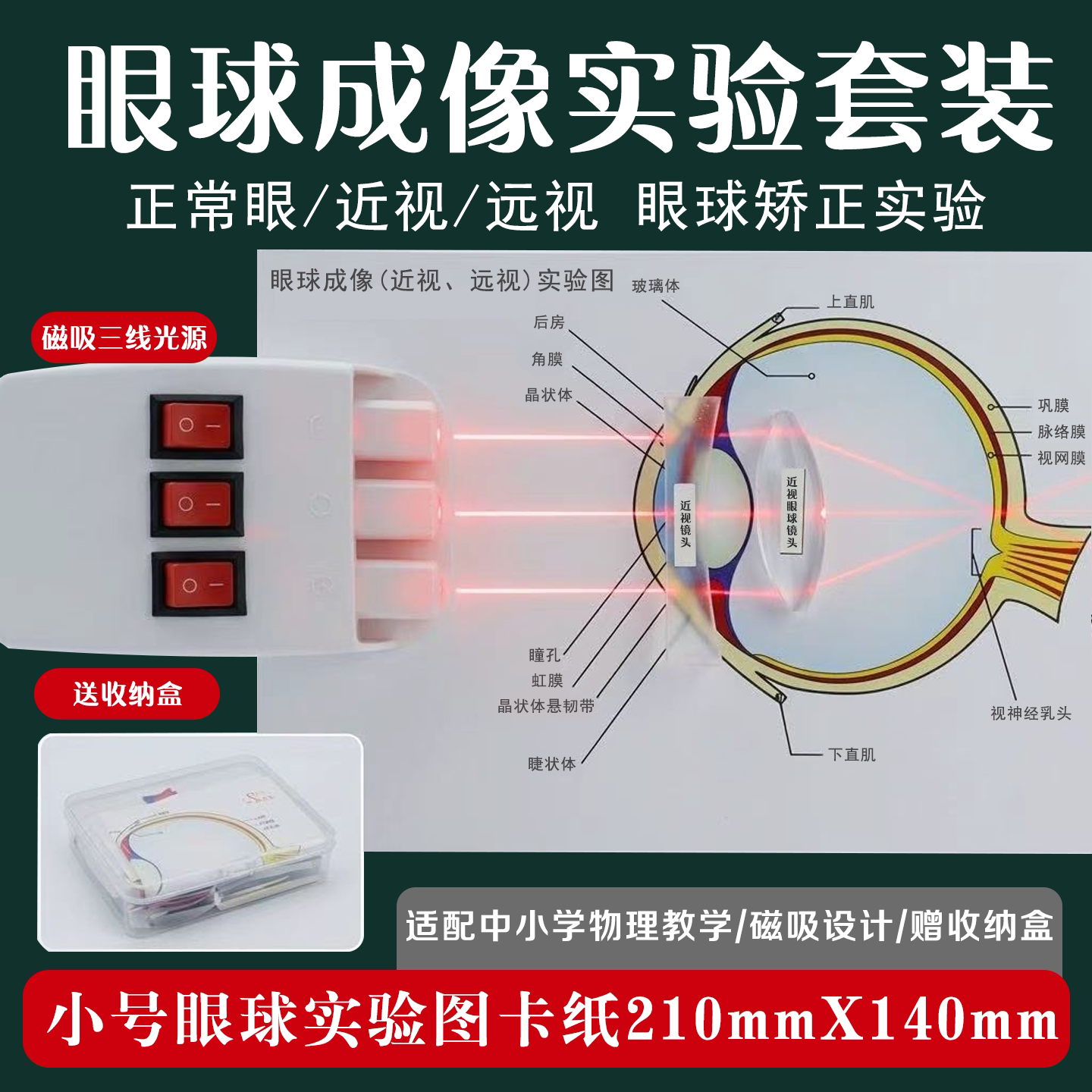 眼球成像实验模型近视眼形成纠正教学仪器/实验器材