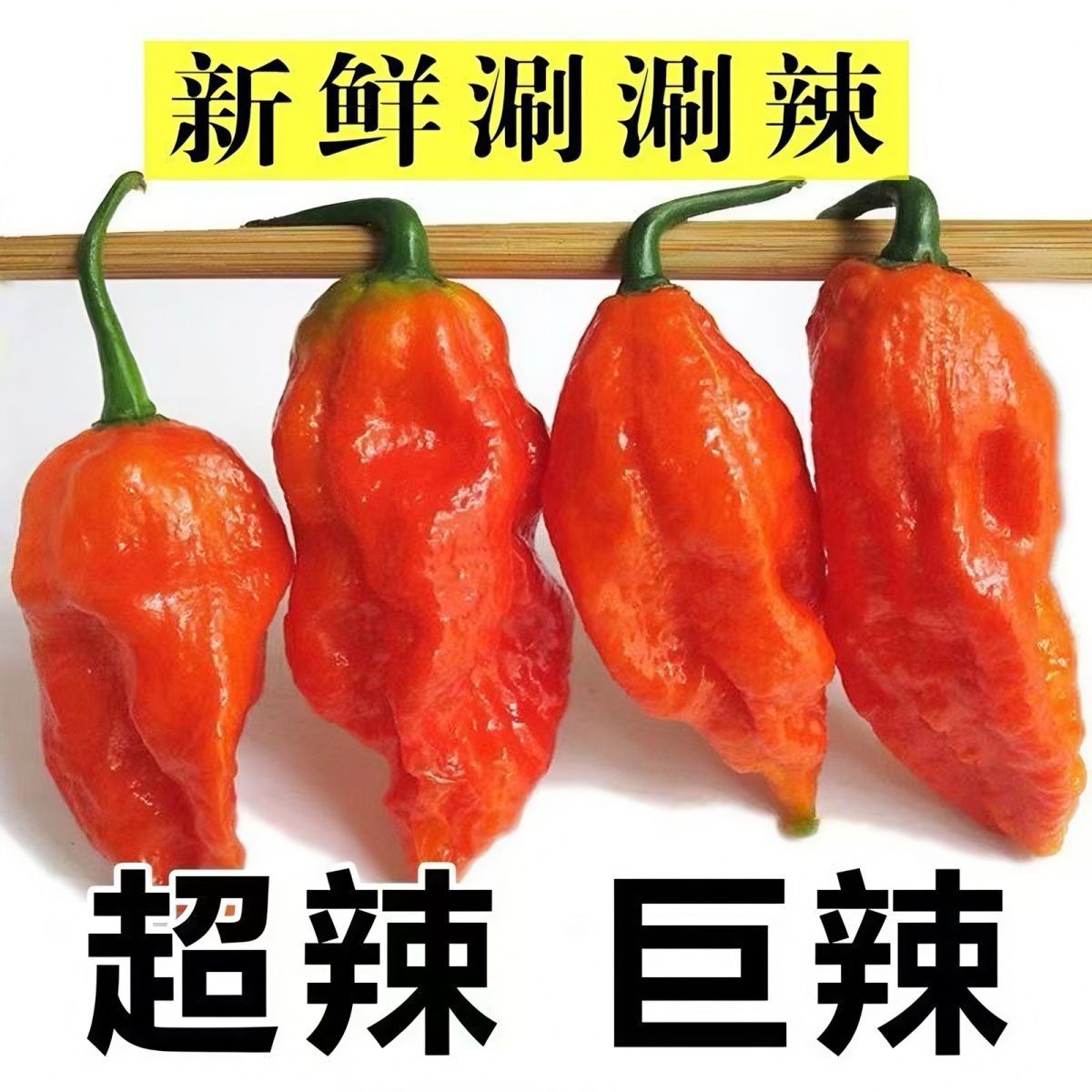 正宗云南德宏涮涮辣魔鬼辣椒新鲜辣椒现摘特辣巨辣变态辣50克包邮
