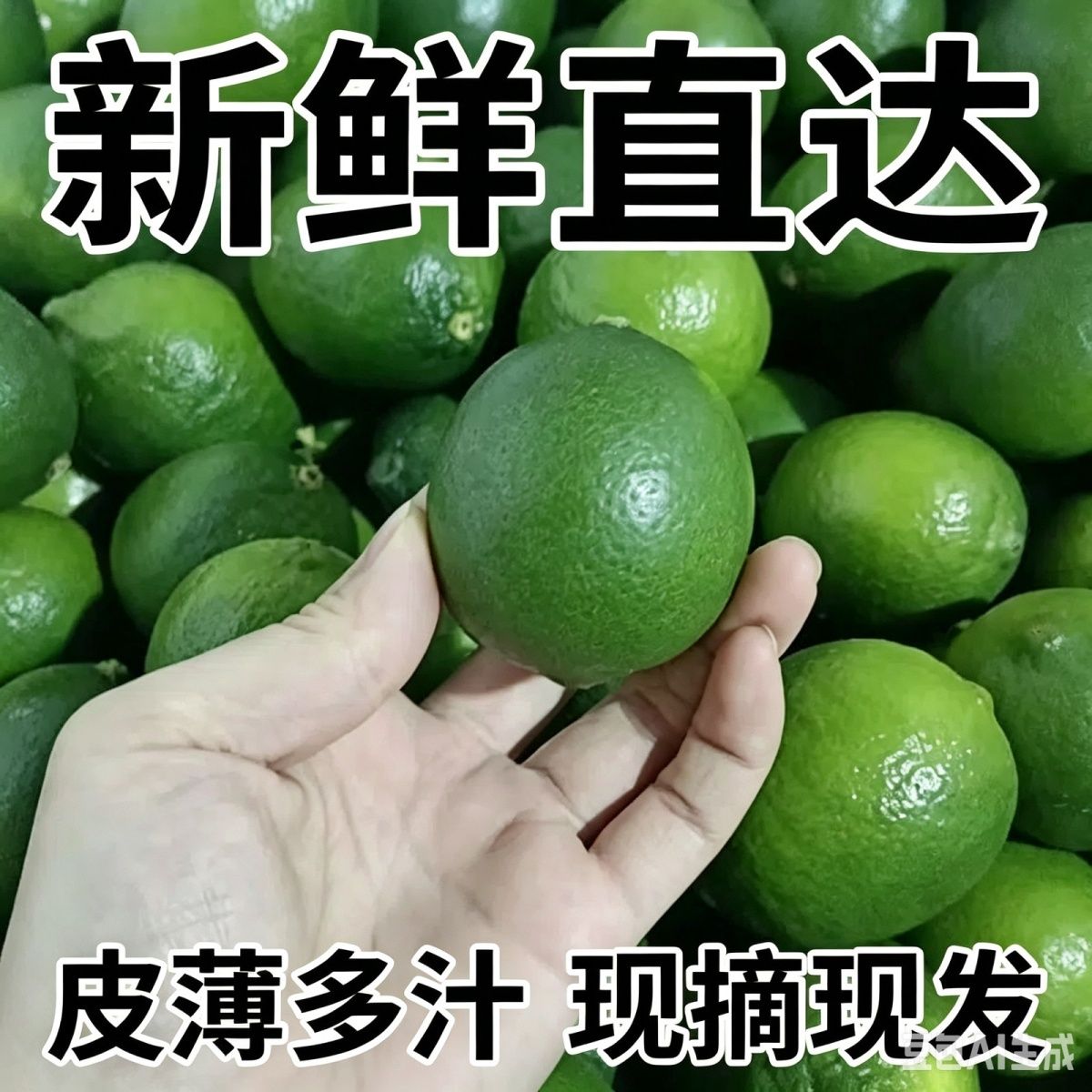 云南现摘薄皮多汁无籽青柠檬