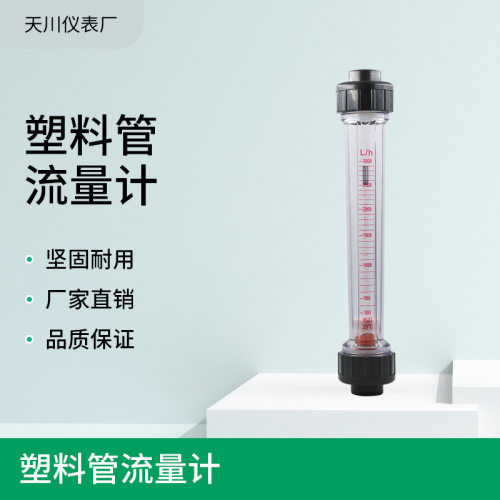 LZS-15 塑料管流量计 污水流量计 海水流量计 ABS流量计