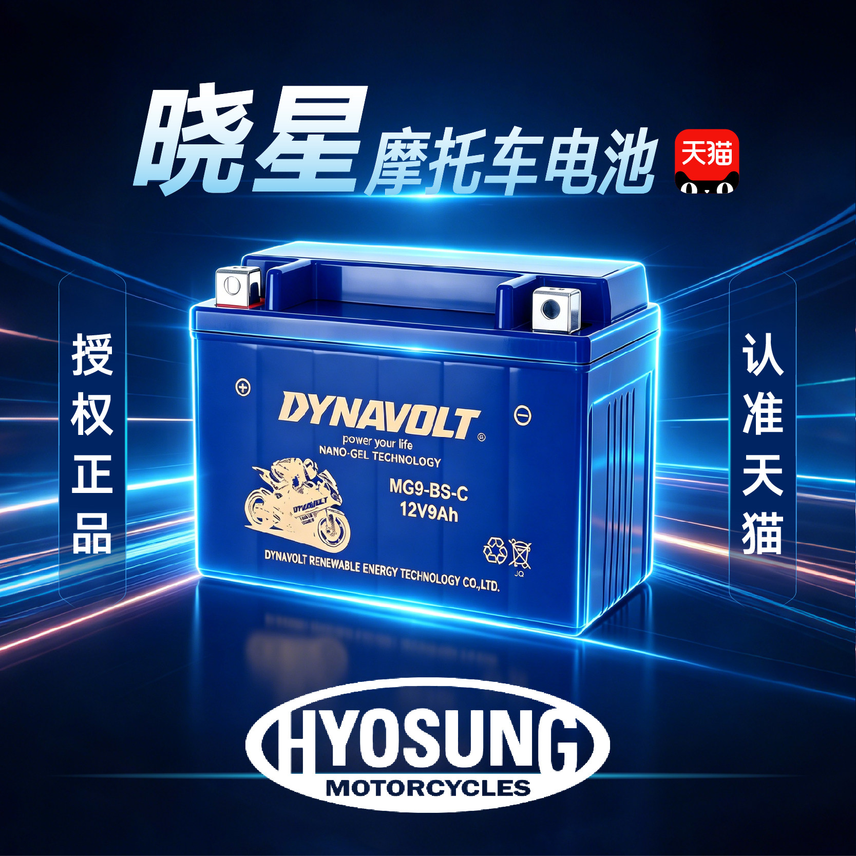 晓星骁胜GV300S/650/250DR巡风650驯风300坦影250摩托电瓶12V猛狮图片