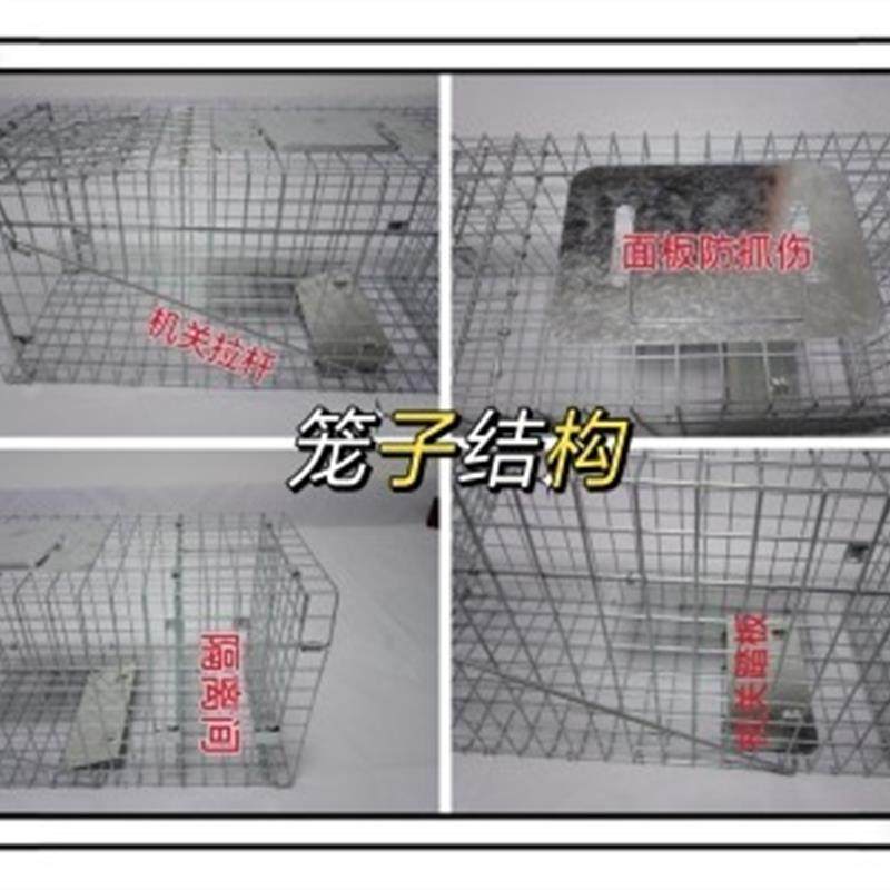 大号捕猫笼抓猫神器捕猫神器全自动捕猫笼子捉猫笼逮猫神器猫救助