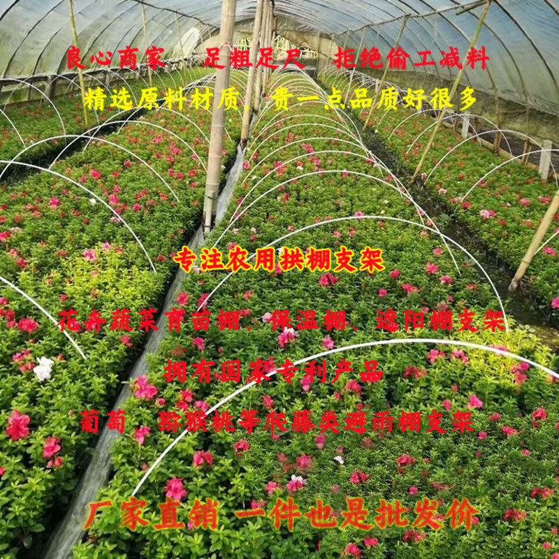 纤维杆农用小拱棚遮阳网支架蔬菜花卉育苗保温棚拱杆玻璃钢弹力棒