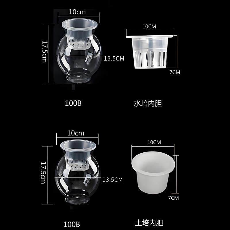 透明水培塑料花瓶绿萝水生植物植花瓶