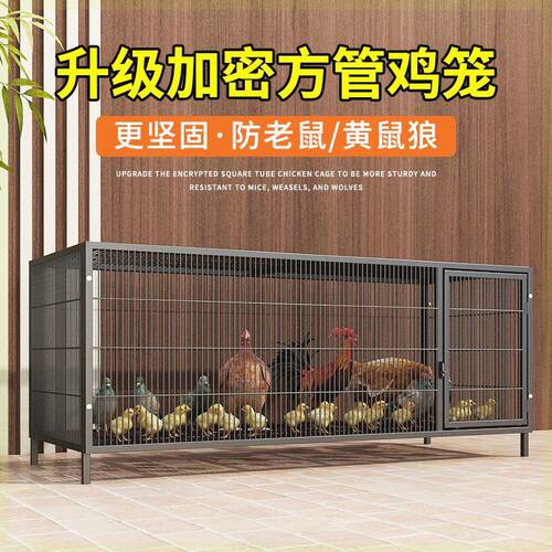 鸡下蛋的笼子折叠家用养殖加粗兔子笼鸭笼鹅笼狗笼自动滚蛋鸡笼