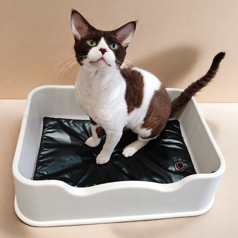 宠物无线电热毯猫咪狗狗专用不插电加热垫德文无毛猫幼犬恒温控温