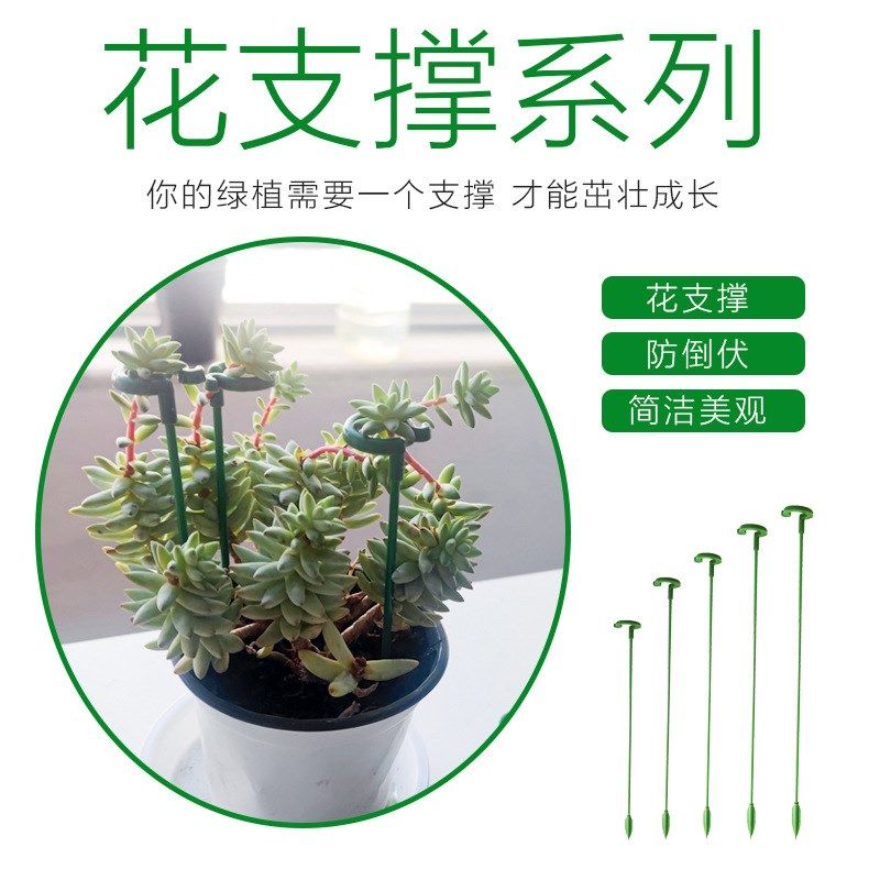 吊兰专用花架包邮10支固定防倒花架