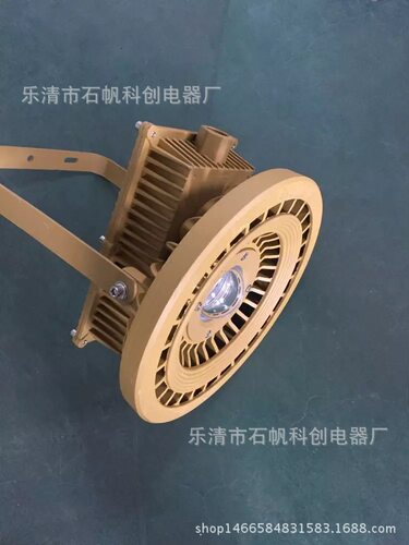 LED加油站防爆灯仓库三防机床工矿灯吊灯30W50W100W厂房灯具