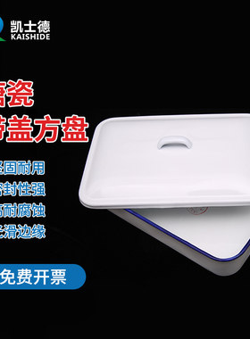 搪瓷方盘带盖9寸 11寸 托盘白色瓷铁盆实验室用金属消毒托盘化工