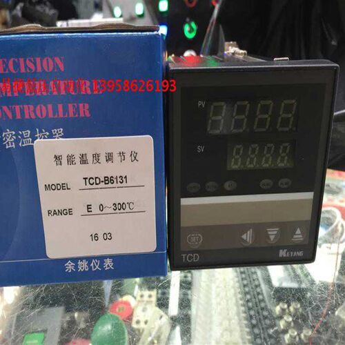 科洋仪电 TCD-6000 TCD-B6131 E型 0-300 智能温度调节仪