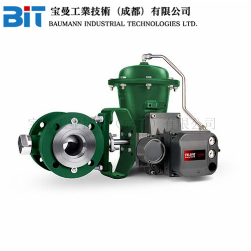美国Fisher费希尔Vee-Ball V150/V200/V300/V500/V250旋转控制阀
