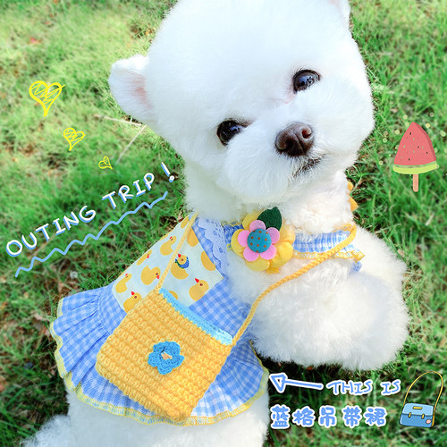 宠物公主裙子猫咪小狗狗法斗柯基泰迪博美比熊衣服秋季薄款小型犬