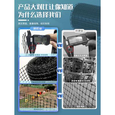 围栏网圈养殖网土工格栅子网玉米围栏鸡鹅塑料网防护网鸭鱼塘果园