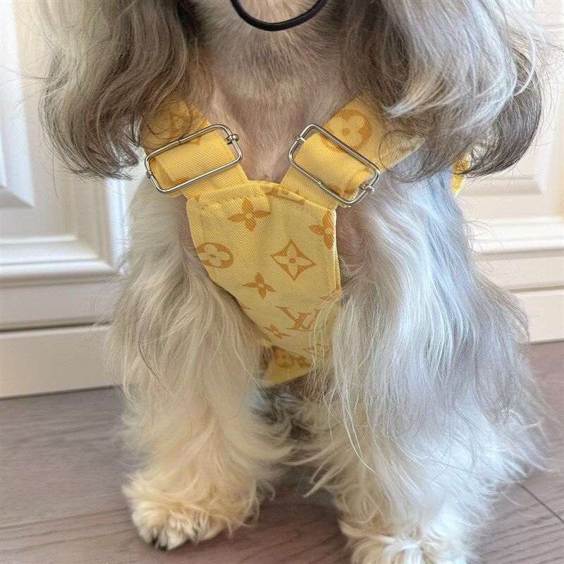 狗狗春夏裙子衣服戴帽子小狗泰迪雪纳瑞博美牛仔背带裙带牵引绳
