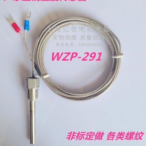 WZP291防水固定螺纹热电阻4分2分PT100温度传感器K型WRN291热电偶