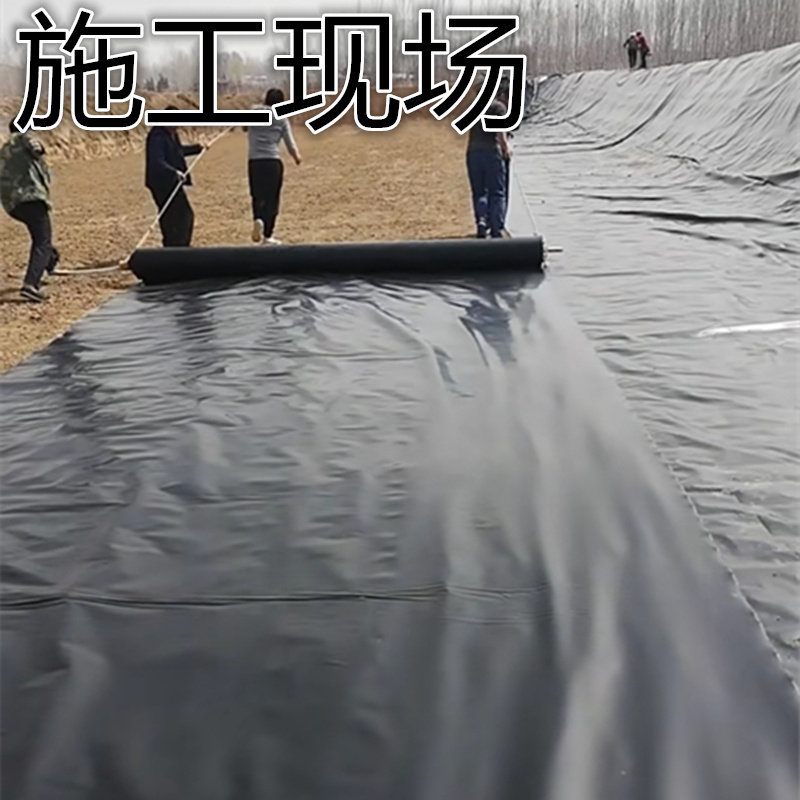 黑色防渗膜塑料薄膜养殖膜鱼塘专用膜鱼池防水膜藕池膜土工膜整卷