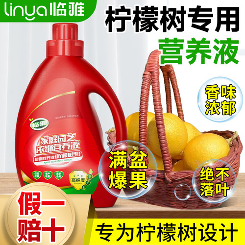 柠檬树营养液室内盆栽绿植物营养液通用型花卉柠檬树盆栽树苗肥料