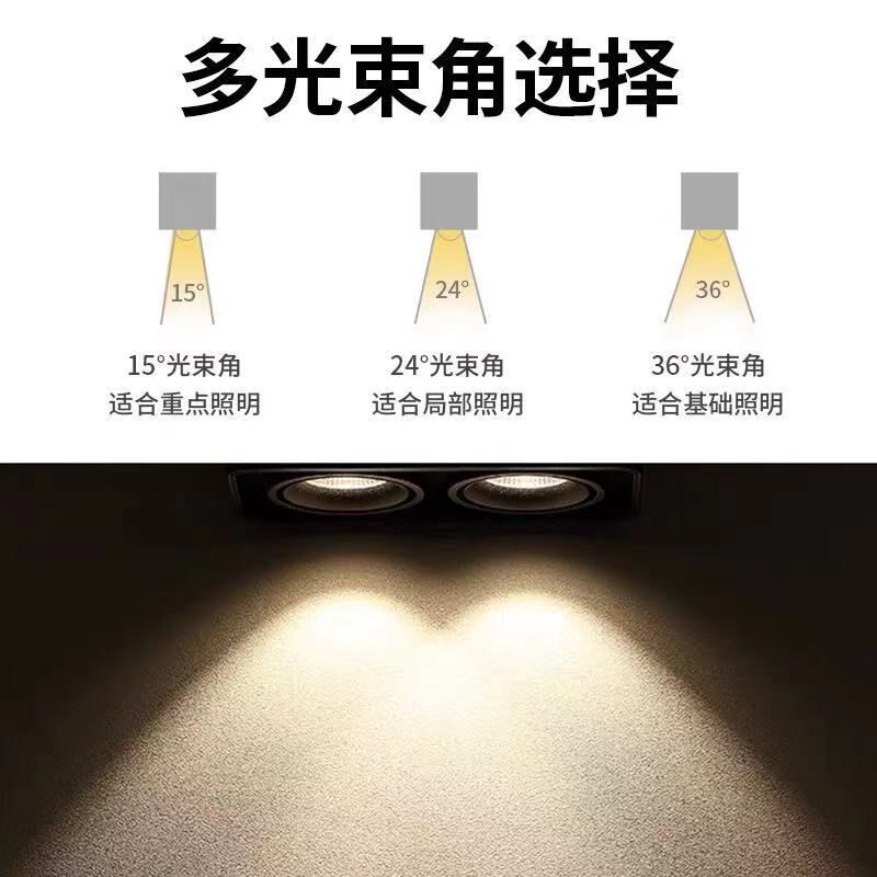 明装筒灯客厅无主灯照明盒子灯双头斗胆灯格栅灯过道玄关吸顶射灯